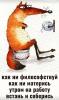 Сантехмонтаж,отогрев,прочистка канализац